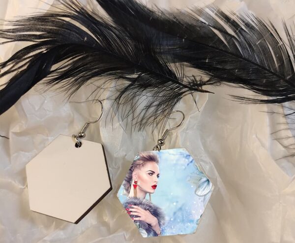 Hegxagon Shape Earings